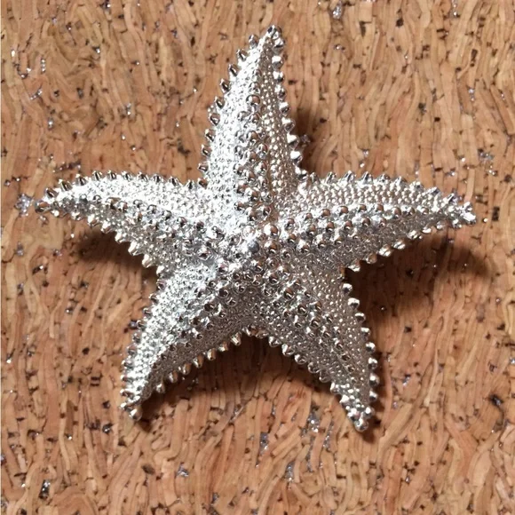 Vintage Silver Tone Starfish Brooch and Earrings Set - Picture 2 of 5